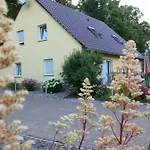 Schoelzke's *