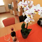 Schoelzke's Apartamento