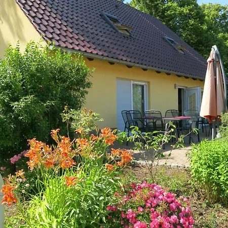 Schoelzke's Apartman