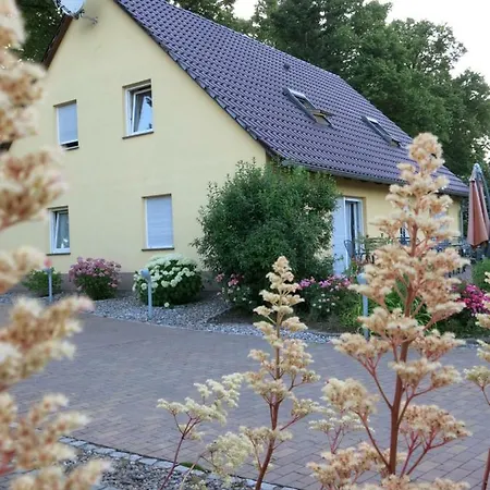 Schoelzke's *