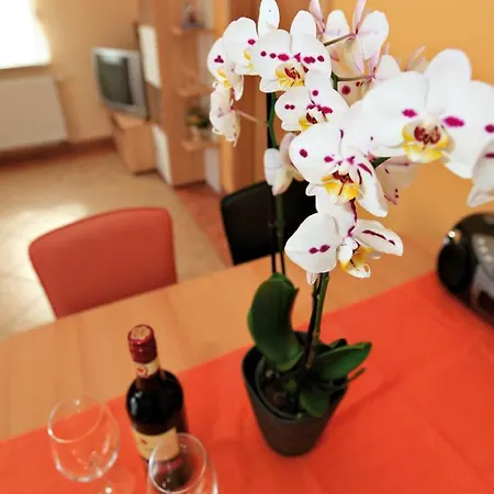 Schoelzke's Appartement