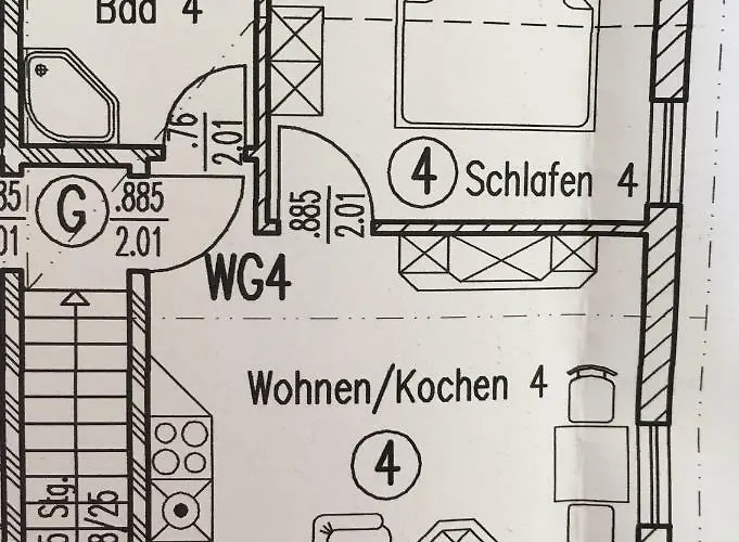Schoelzke's *